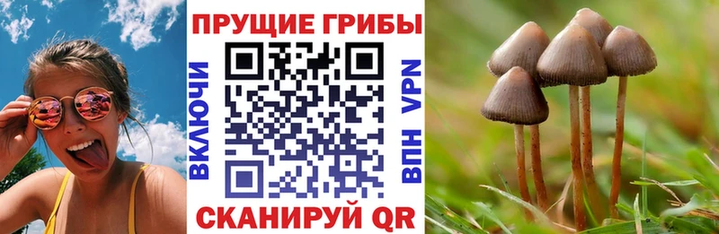 Галлюциногенные грибы MAGIC MUSHROOMS  Купить закладки  Кумертау 